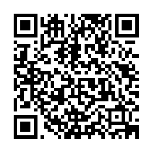 那么唯一的可能就是扶桑皇室还叫了其他人来帮忙……忠于皇室二维码生成