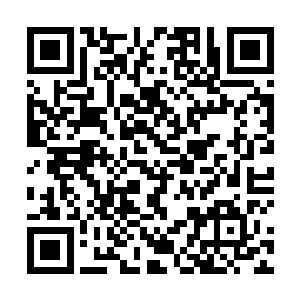 那么如今这万苦血狱的封印法阵又怎么可能会被打开呢二维码生成