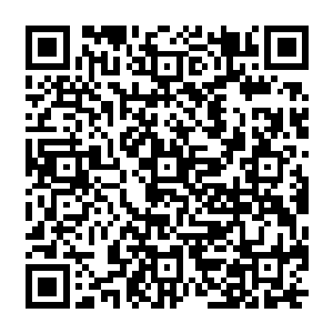 那么它的珍贵程度绝对是难以想象的……甚至不在圣子彼得手中的那一枚圣甲虫之下的二维码生成