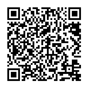 那么最好的方法就是马上将前面已经软倒的这同僚甩下旁边的万丈深谷去二维码生成