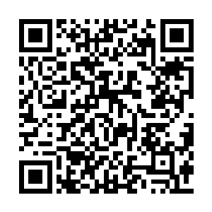 那么焚天禄刚才的行为简直跟找死没有什么区别二维码生成