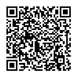那么现在没有发现王逸那飞船王攀就有理由相信王逸他们应该是回去了二维码生成