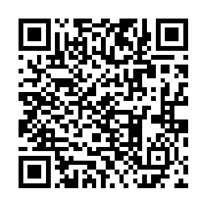 那么现在答案就出来了――这一次虫族之所以出动这么多二维码生成