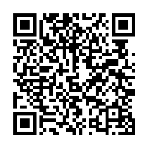 那么票房数字绝对会稳稳的超过张东城在首映礼之前的预言二维码生成