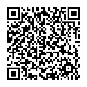 那么肯定是石青锋无疑了……雪山神女给他说过很多湿婆宗的隐秘二维码生成