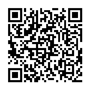 那么至尊灵兽层次都是无敌的存在……哪怕变成了这样一枚神器二维码生成