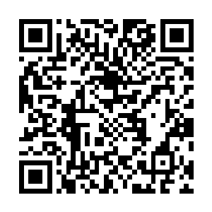 那么苏家的第一家主的位置自然是立即转移到叶枫身上了二维码生成