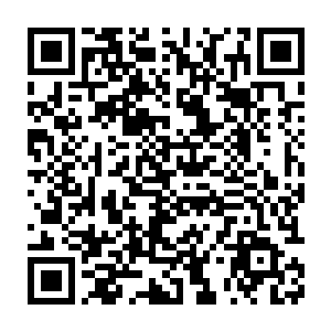 那么这一条命基本上就保不住了……哪怕是实力超出对方好几个档次的二维码生成