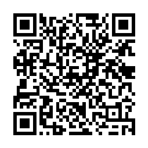 那么这些得不到开发的土地也将沦为和农田一样的荒地二维码生成