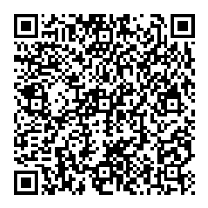 那么这位在全球呼风唤雨的顶级演员就将连续第五年缺席金球奖了――特别是考虑到如今雨果对好莱坞各大电影公司高层的影响力二维码生成