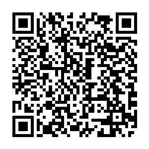 那么这时候扶持世家的新一辈人才就是你这个官场白丁的主要责任和任务二维码生成