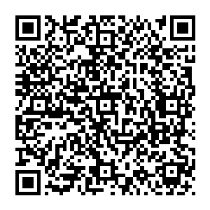 那也只是浩瀚宇宙当中生命形态更加高级的生命而已……这与玄学界盛传数千年的基础理论是完全相悖的二维码生成