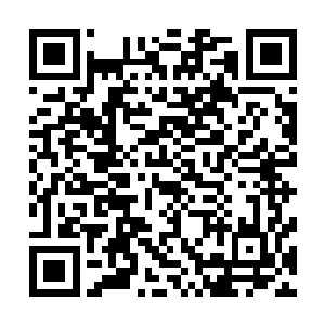 那也是没可能存活到现在的……这个安藤家族也绝对不弱的二维码生成