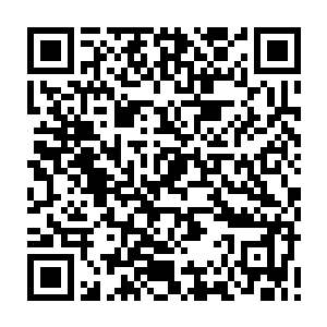 那二十多米长三米多宽得大型海兽深海黑血鲸已经在巨大浮冰得边沿之外二维码生成