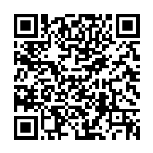 那二皇子可否会冒着与我们人界众学院为敌的危险二维码生成