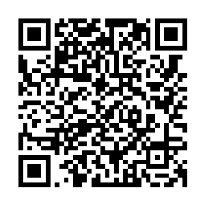 那五行之光编织而成的万古重楼并没有在第一时间化成坚固楼阁二维码生成