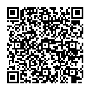 那些之前因为黑暗的强大力量和残酷手段而惊怒交加的圣域强者们也纷纷回过神来二维码生成