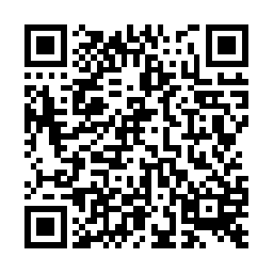 那些人可是很清楚的能够计算出自己会获得什么牌二维码生成