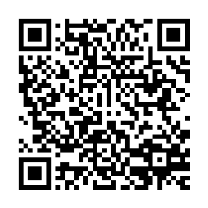 那些人的外形就毫无意义了……就算他们个个儿长得跟狗一样二维码生成