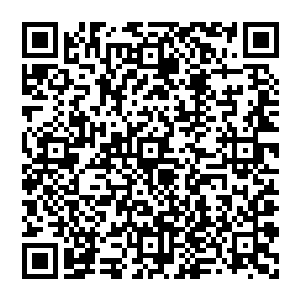那些从恶魔之门中源源不断涌出的恶魔鬼手也跟那金银童子激荡而出的金银色火焰重重的撞击在了一起二维码生成