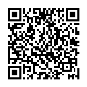 那些伤势沉重的域主们在被杨开这个杀星撞破行踪的时候二维码生成