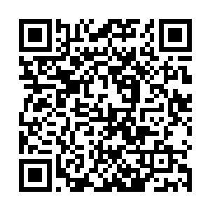 那些但凡是曾经下海搜索过的海军士兵们可就倒了霉了二维码生成