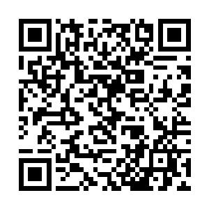 那些余下的血光便是抨击在了防御姿态的大金钵背部二维码生成
