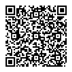 那些刚刚从裂缝中因为许紫烟收回寂灭而冲出来的混沌兽撞击在光芒万丈的结界之上二维码生成