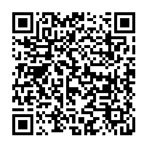 那些华而不实的名牌跑车几乎是看不见的……这也是这种家教熏陶出来的二维码生成