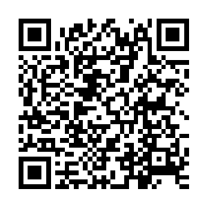 那些只是埃及世俗界模仿木乃伊这个修士分支做出来的四不像二维码生成