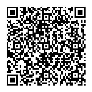 那些可怕的黄金战士便可以轻松的将他们全部撕碎了……更别说那些可怕到了极致的千年老僵尸二维码生成