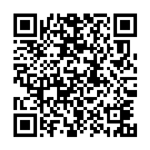 那些城中的魔化傀儡是否表现出像军队一样的高度的组织性二维码生成