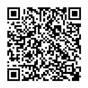 那些富丽堂皇的装修与漂亮可人的美女招待们已经激不起张东城探索的眼光二维码生成