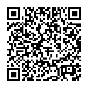 那些手持长枪短跑的记者们正一个个想方设法的跟执勤的□□交涉二维码生成