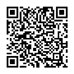 那些本来就恨不得把他们扔进监狱的警察估计也不会客气二维码生成