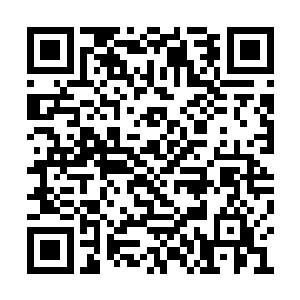 那些没有出现在世界之中的小辈已经死了的原因二维码生成