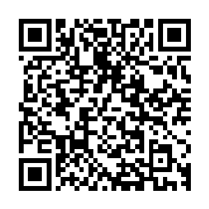 那些现在还在打猎但是马上面临着留在部落的老猎人们更是激动二维码生成