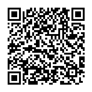 那些目睹了方运连杀五头蛮王的老兵现如今已经对方运佩服得五体投地二维码生成