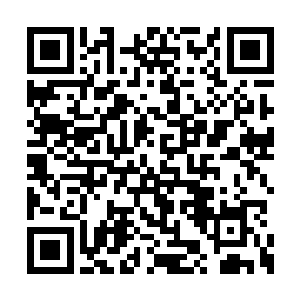 那些细孔小洞中都往外生长出一根根的翠绿幼苗二维码生成