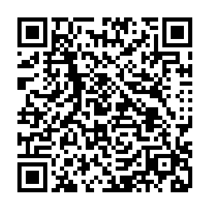 那些蛮子发现现在我们不用派地面部队到山林里去找他们就能从天上给他们好看二维码生成
