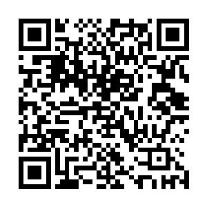 那些要刺杀阮灵玉的组织和幕后的人肯定不会放过这个机会二维码生成