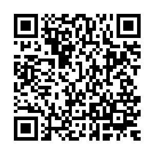 那些还在等待着博卡青年再接再厉的人们才反应过来――妈的二维码生成