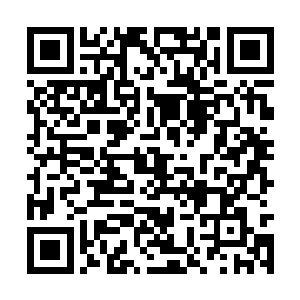 那些逡巡在密地之外的修士们接连受到神力的冲击二维码生成