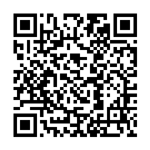那人也会有意用手将那些被拨开又弹回来的树枝挡住二维码生成