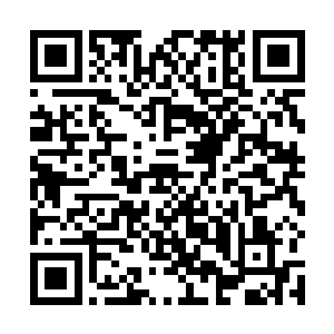 那今天就是那些和吞血化骨门有仇的人一起复仇的时候二维码生成