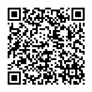 那他得到了这种功法和武器之后岂不是可以在家族之中大放光彩了二维码生成