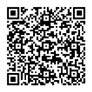 那以你们那点微弱的不朽之力甚至很可能连重生的机会都没有就已经被人耗尽力量二维码生成