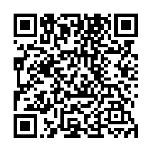 那位彝族导游的目的根本就不是指望偷袭可以伤到这老者二维码生成