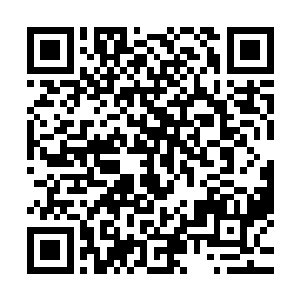 那位旭日峰的弟子在岚音手上没有走上几个回合便被击下擂台二维码生成