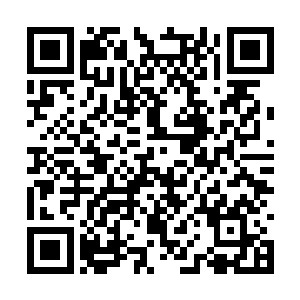 那位疑似是幽冥真人冥宠所变化的土爷爷已经不在二维码生成